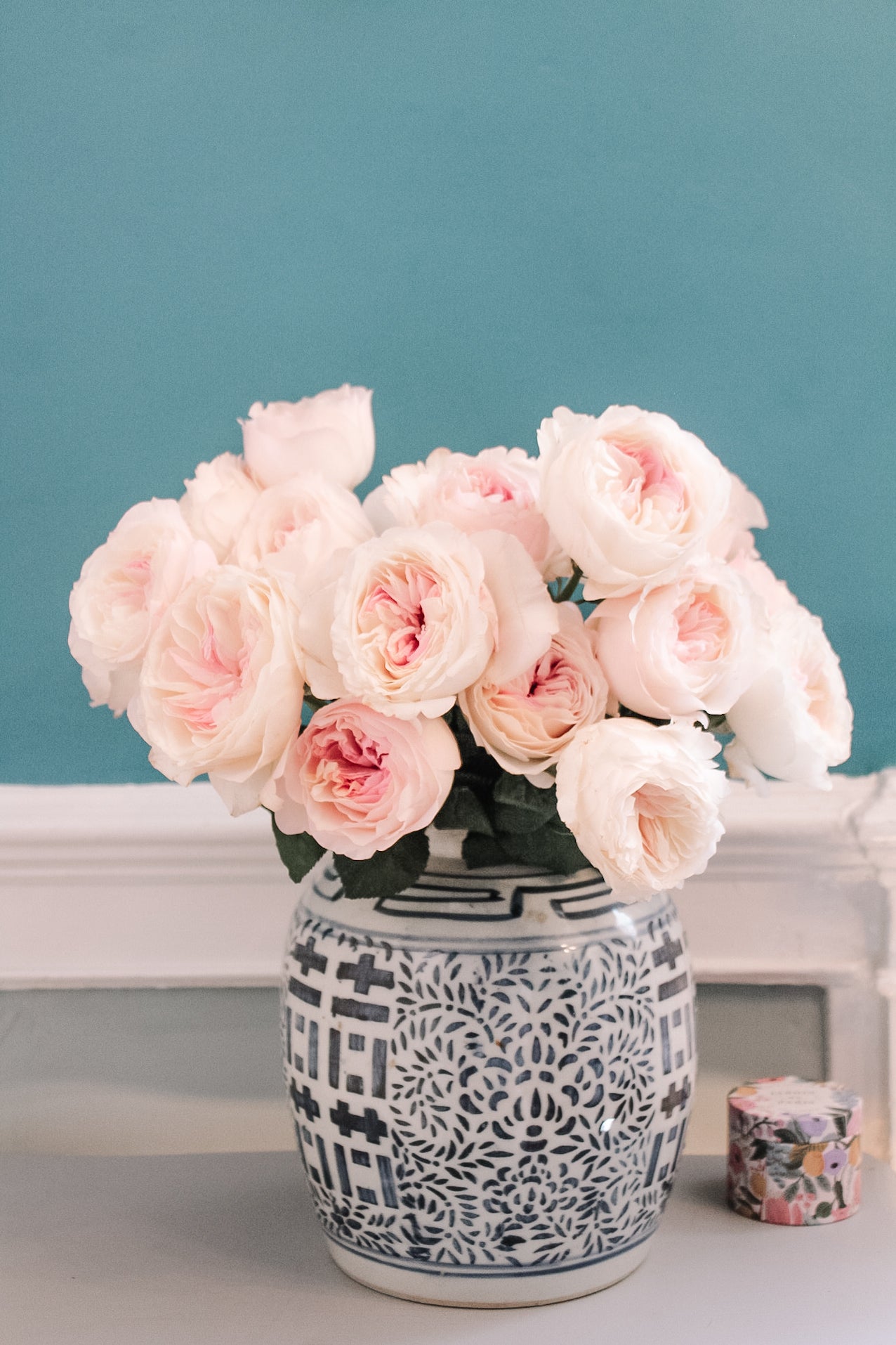 David Austin Keira Rose
