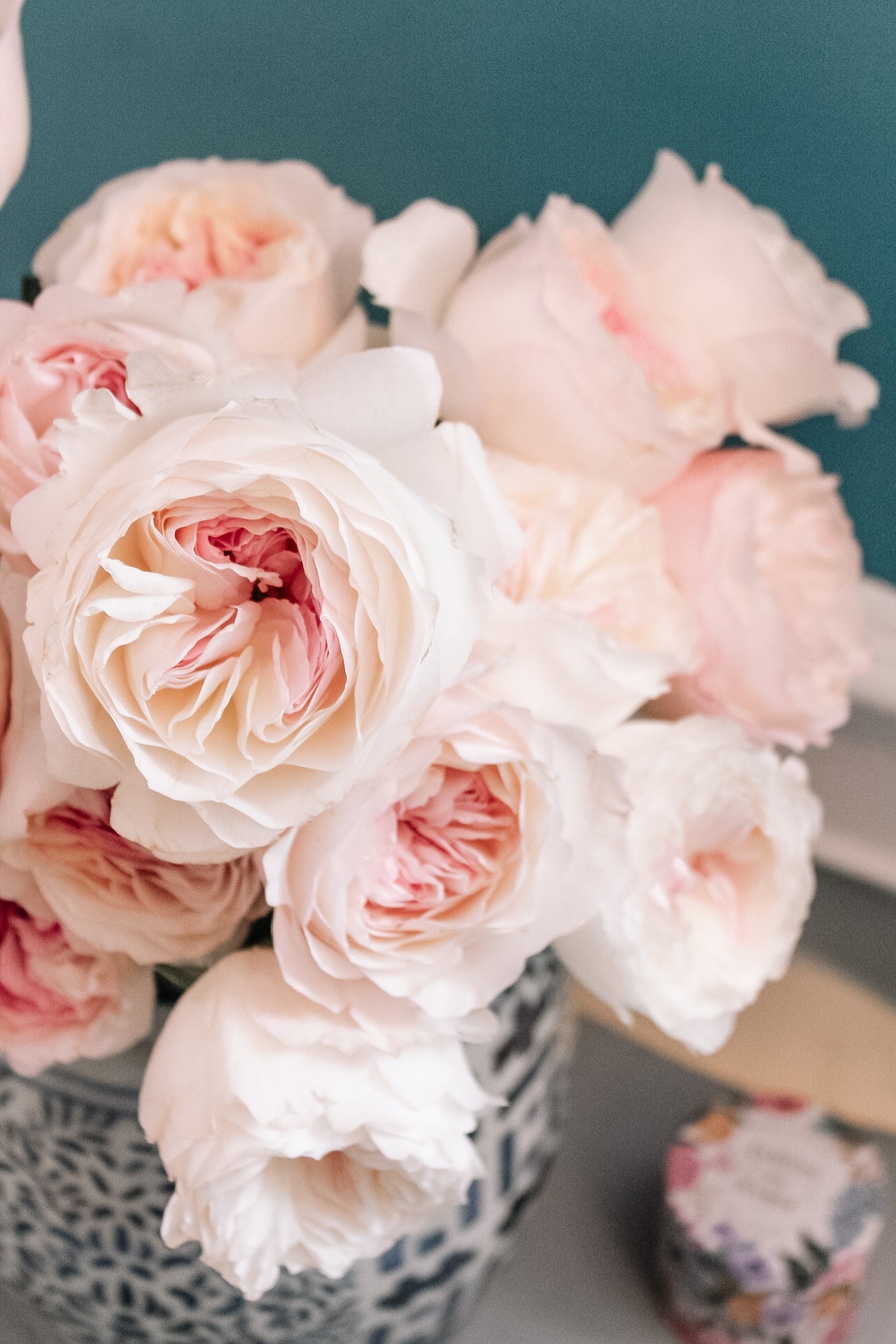 David Austin Keira Rose