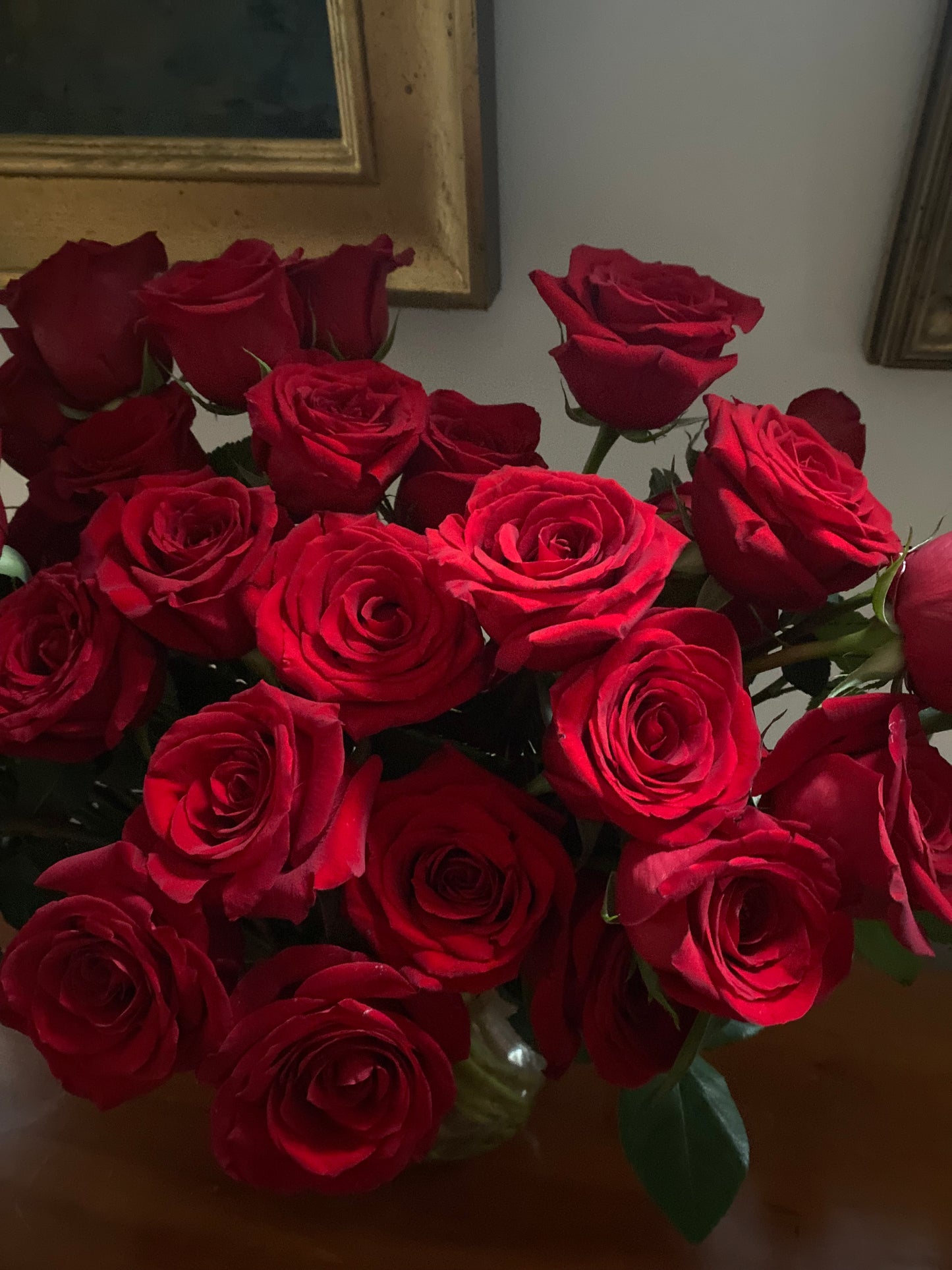 red garden roses
