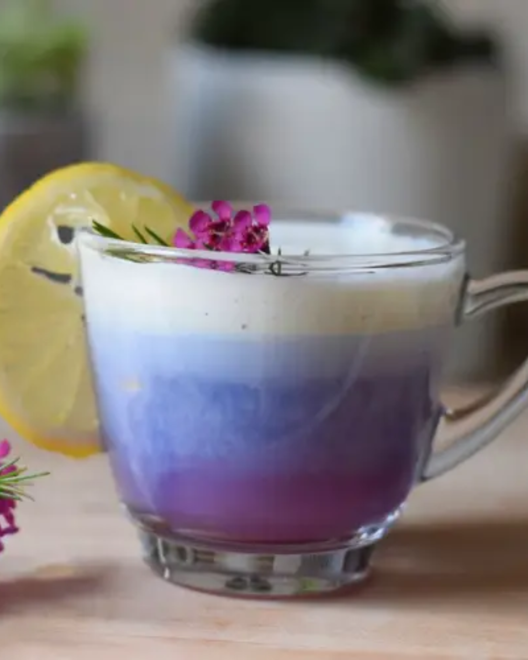 organic butterfly pea flower loose leaf tea