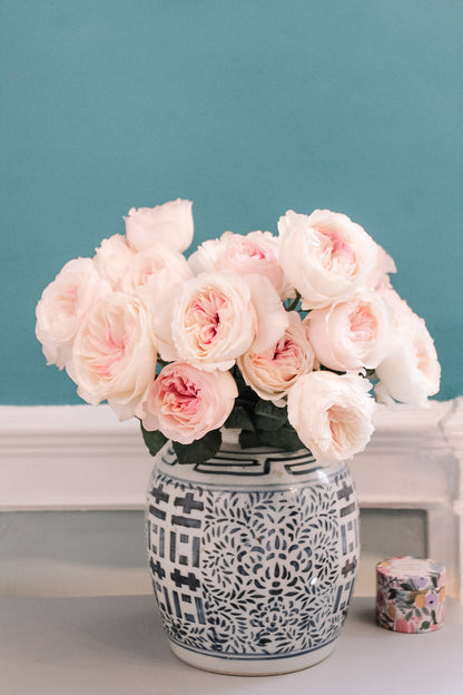 David Austin Keira Rose