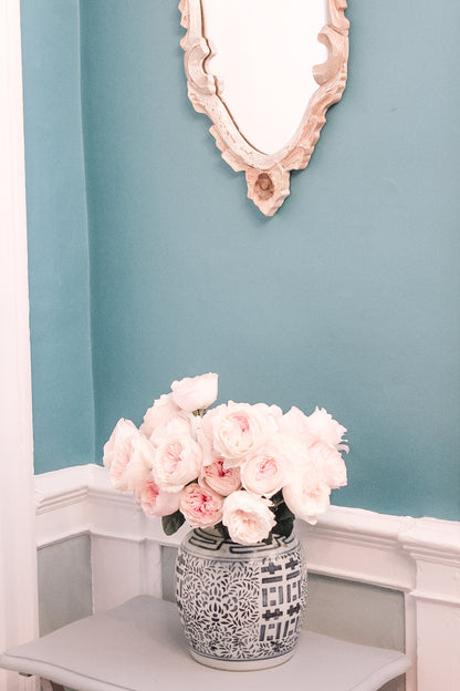 David Austin Keira Rose