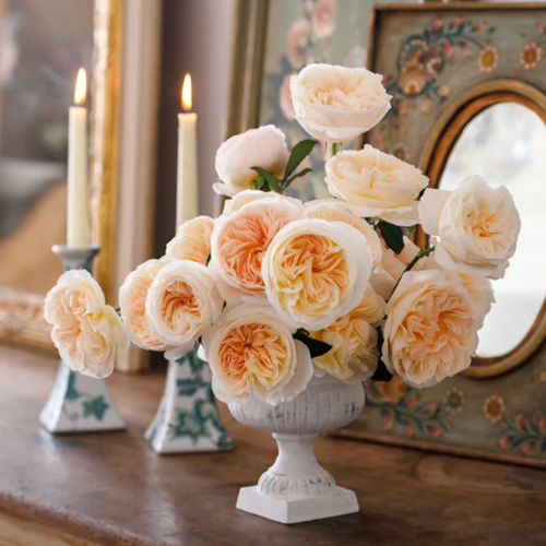 Bessie Cut Roses - David Ausstin Collection