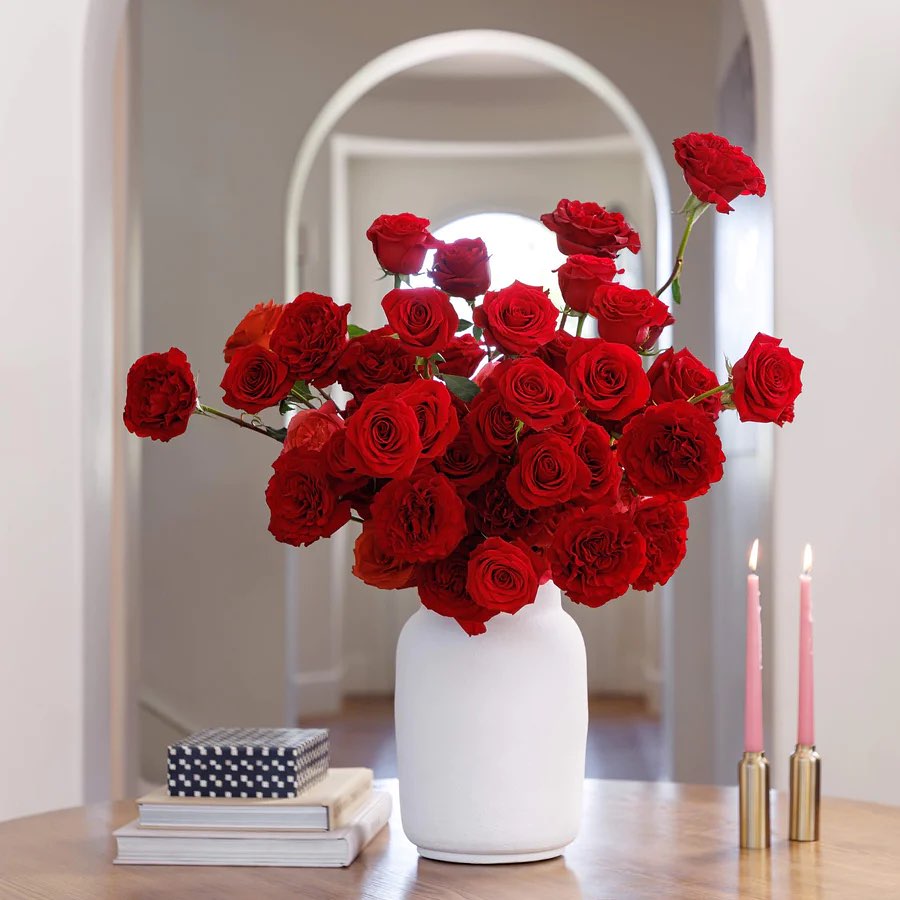 holiday red garden roses