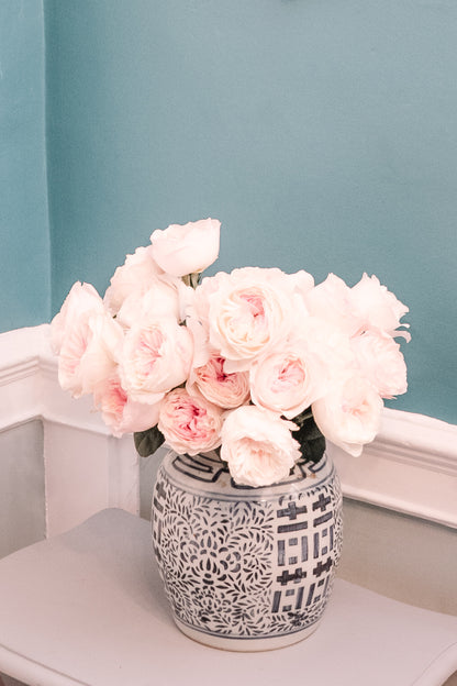 David Austin Keira Rose