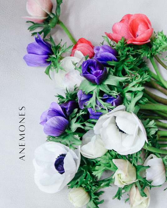 Anemones