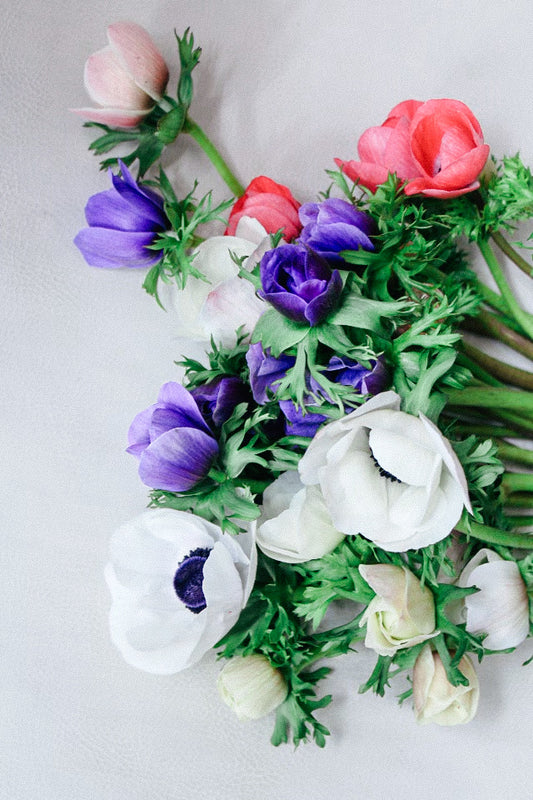 mixed anemones