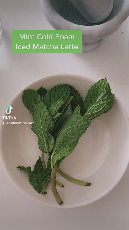 Organic Japanese Matcha – Culinary Grade